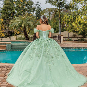 Quinceañera - 31