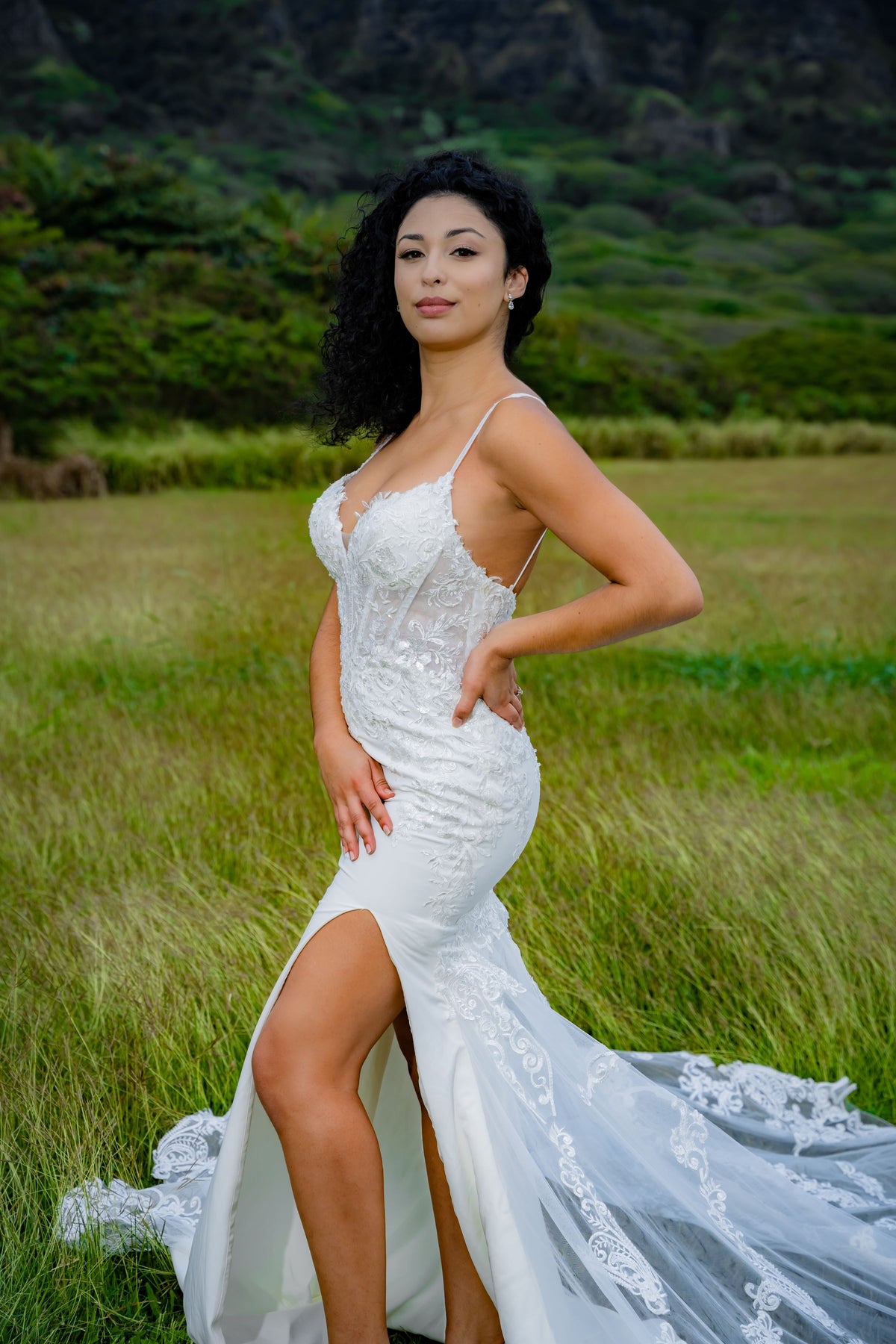 beaded lace mermaid wedding dress Long Beaded Bridal Lace Mermaid Wedding Dress