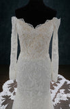 Lace Mermaid Wedding Dress with Long Off the Shoulder Sleeves and Long See Through Train